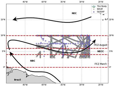 Reconstruction of the marine carbonate system at the Western Tropical Atlantic: trends and variabilities from 20 years of the PIRATA program